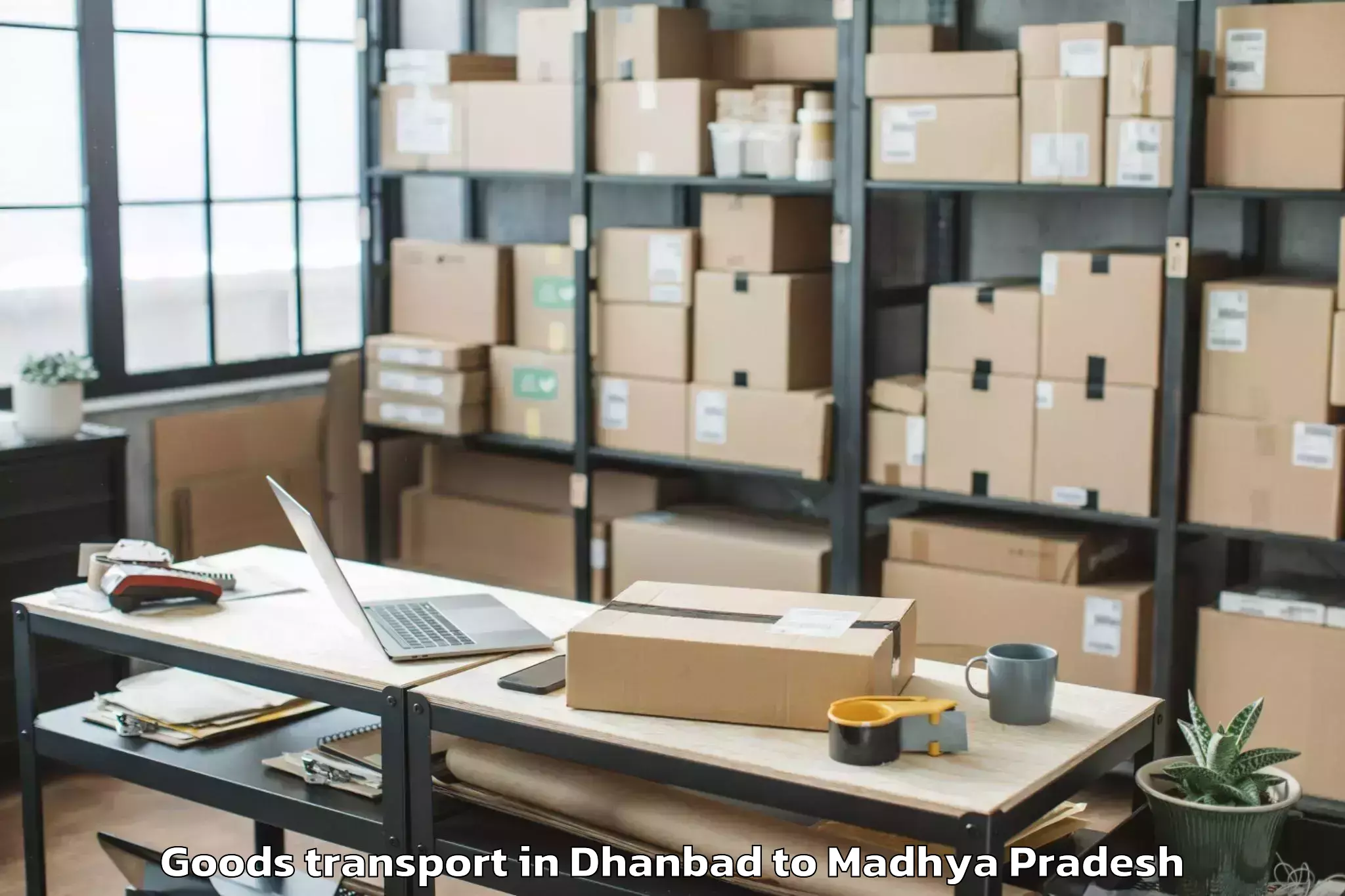 Top Dhanbad to Pachmarhi Goods Transport Available